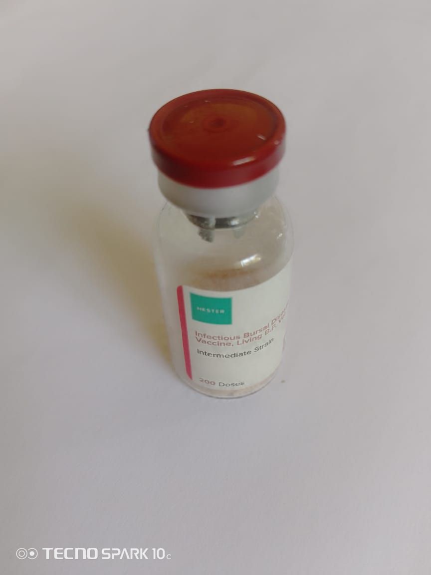 Gumboro (IBD) Vaccine 200