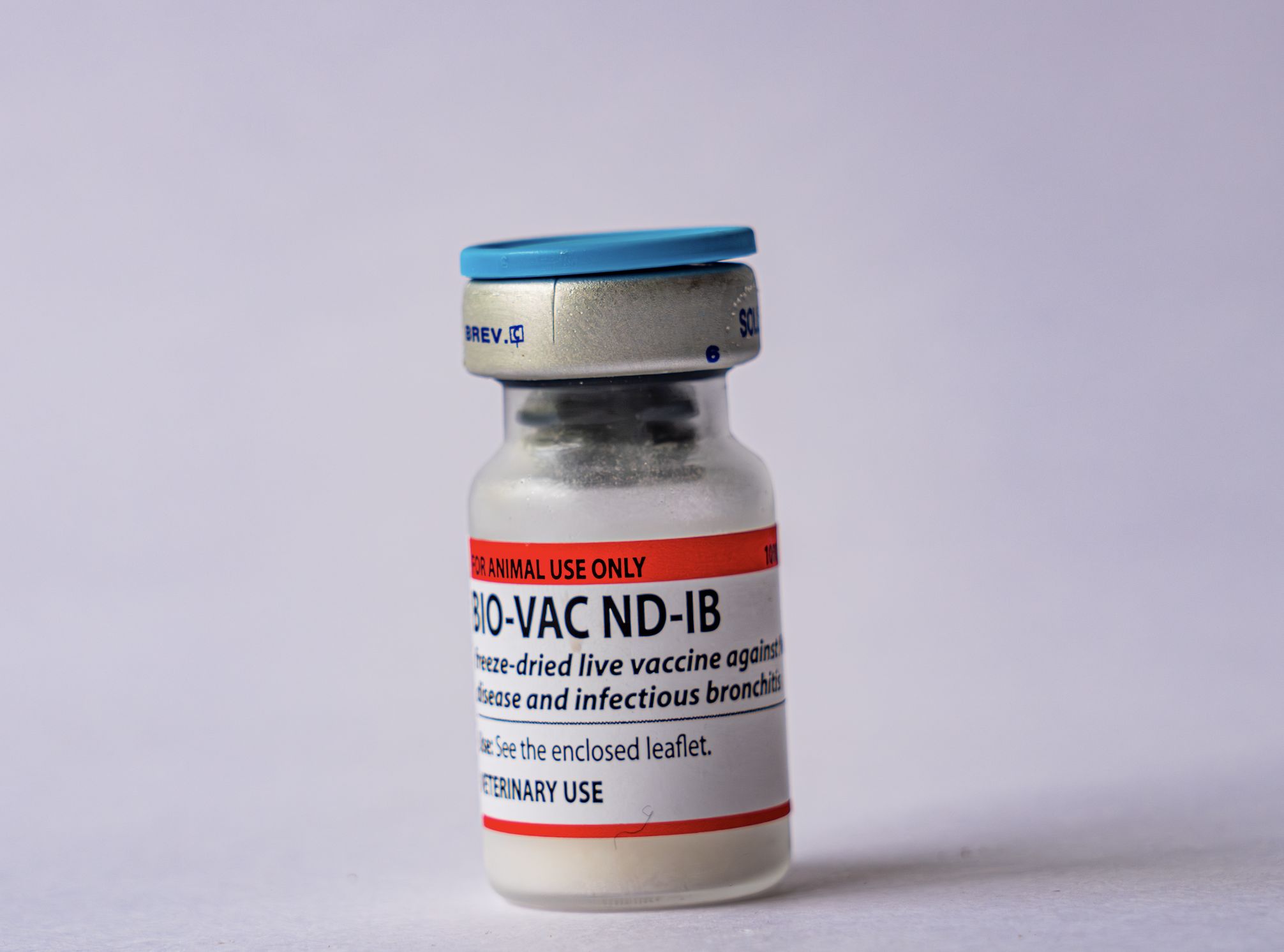 Gumboro (IBD) Vaccine 100