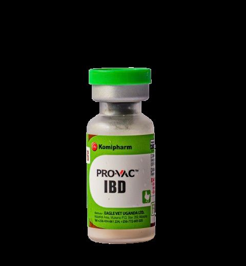 Gumboro Vaccine 1000 doses